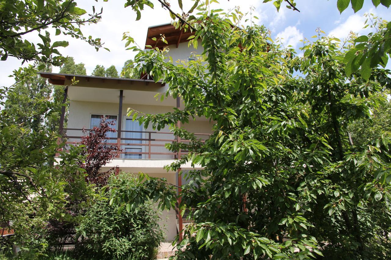 Guest House Leto Dolinka Exteriér fotografie