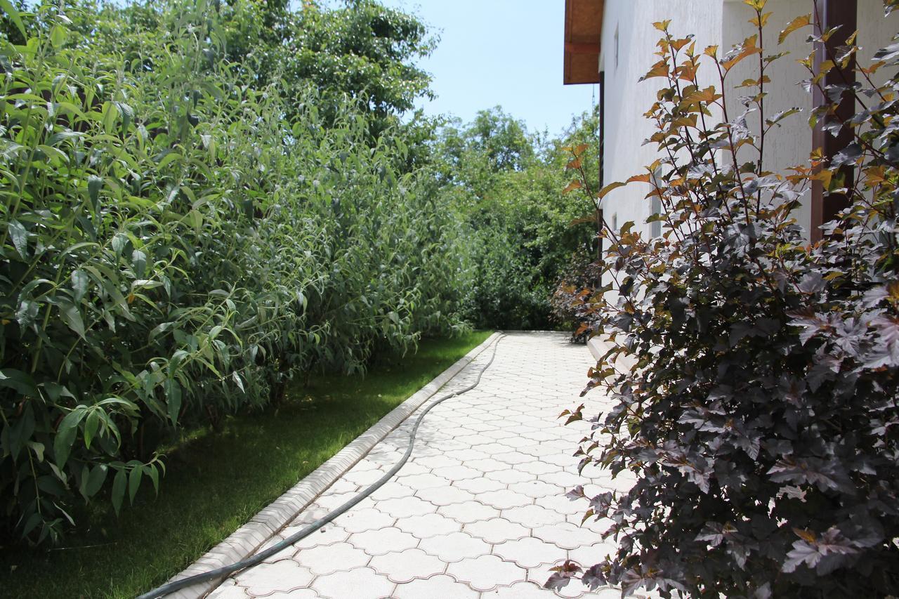Guest House Leto Dolinka Exteriér fotografie